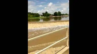 Greenbelt Flooded by McKellips Rd