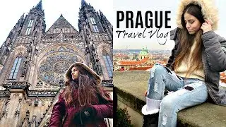 FIRST DAY IN PRAGUE! Meeting Camie, Vegan Donuts, Restaurant Opening & Last Day Of Hanukkah!
