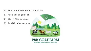 3 Tier Management system | PAK GOAT FARM