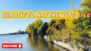 Beautiful nature video 🇨🇦🫶🏼😍/ beautiful Canada view / BD Lifestyle Canada 