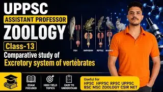 Up assistant professor zoology / Comparative study of excretory system of Vertebrates #uppsc #rpsc 