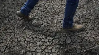 California water board extends drought regulations
