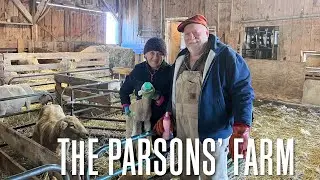 Lambs at The Parsons’ Farm [Stuck in Vermont 687]