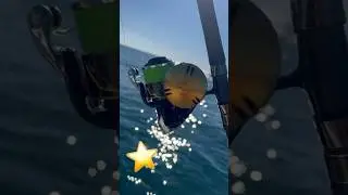 😎⭐️ - #angler #tunaspinning