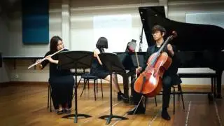 Louise Farrenc - Trio for flute, cello and piano op.45, I.Allegro Deciso