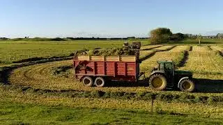 Making Oat silage - New Zealand