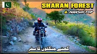 Tough Decision Of Jungle Off-roading  | Sharan Forest, Kaghan Valley | Manshi Top | Pakistan Travel