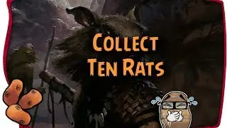 Guild Wars 2 - The Ravious Rat Collection Quest | A Moving Tribute
