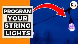 Programmable String Lights - They Change Colors!| Program Your Smart Outdoor String Lights