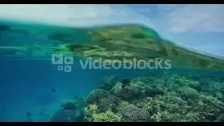 SPLIT OVER UNDER VIEW OF TROPICAL CORAL REEF IN SOUTH PACIFIC RAWGYMYYL