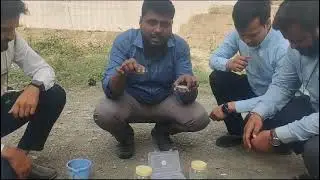 Ambuja Kawach cement Demo