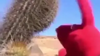 Red puppet touches cactus. (Sicko Mode)