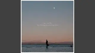 Slow Dancing in a Burning Room