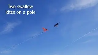 Cheap fun - two swallow kites on a pole