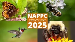25 Years of the North American Pollinator Protection Campaign (NAPPC)