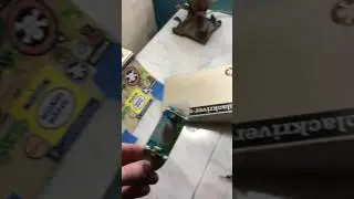 Oak wheels Mini's review