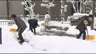 湿った重い雪…5日の長野県内のスリップ事故177件　長野市では24時間で31センチの積雪も
