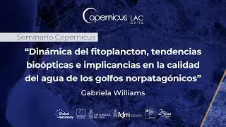 Seminario Copernicus: Din&aacute;mica del fitoplancton y calidad del agua en los golfos norpatag&oacute;nicos