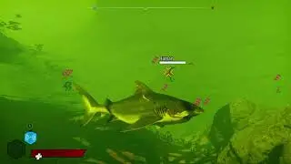 Maneater (Nintendo Switch)