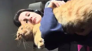 Purrfect Game buddy 