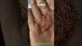 Cable Wire Separator Machine Copper Plastic Separating Machine Big Capacity Recycling Scrap Copper