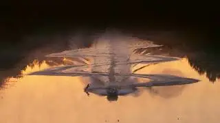 Live the 2023 Radar Waterski Lifestyle