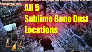 Dark Souls 2 All 5 Sublime Bone Dust Locations