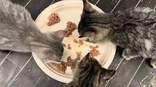 Munch munch munch!!