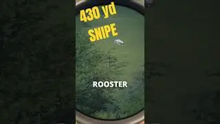 The BEST Shot in CotW 🦌🔫 | theHunter: Call of the Wild