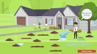 How to Kill Moles