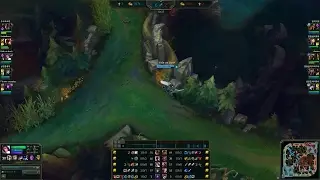 SKT T1 Faker   Fiora vs Zed   KR LOL Challenger 629LP