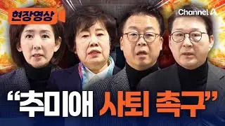 국힘 법사위원단 “추미애, 사법부 독립 유린…법사위원장 사퇴해야” [현장영상] / 채널A