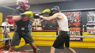 Sparring with Ivan Pandzic 🥊
