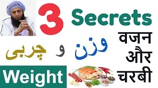 Weight Loss Programs (3 SECRETS), Keto, Intermittent Fasting