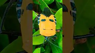 Robot Bug?? @Firsttimebyncn