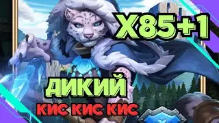 ДИКИЙ ПРИЗЫВ // Х85+1 // ХОЧУ КОТА // SUMMONS // EMPIRES & PUZZLES