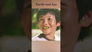 A flying turtle?#touching #funny #fantasy