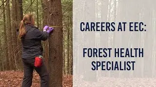 Forest Health Specialist