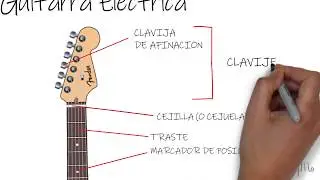 PARTES DE LA GUITARRA🎸 -Te sabes todas las partes de la guitarra?