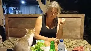Bali cats