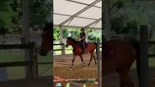 This horse is unreal😍 #horse #equestrianjourney #equestrian #besthorse