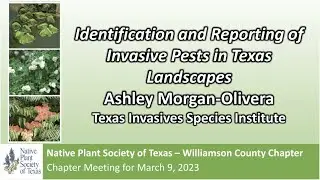 Mar 2023: Identification & Reporting of Invasive Pests in Texas Landscapes w/Ashley Morgan-Olvera