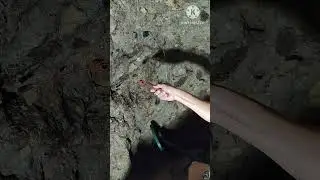 Locating the location of give away treasure deposit using home made treasure hunting devices.