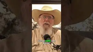 Shooting Gators: Use a Stick! 🐊 Guns Are Dangerous! ⚠️