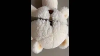 ASMR Plush Toy Cutting &ndash; Soft Squishy Sounds