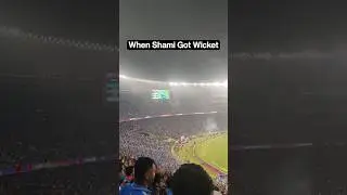 Fans Gone Crazy When Mohammad Shami took the wicket ❤️ #cwc2023 #shami #kohli #wicket