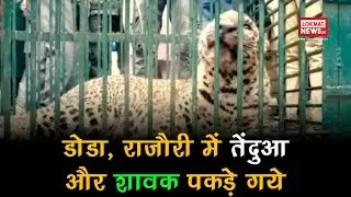 Forest department captures Leopard in J&K's Doda