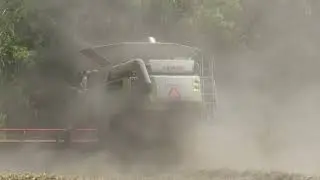 4K/CLAAS 770 LEXION tr&ouml;skar vete 13 Augusti 2025