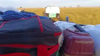 Норд пикап  VID 20250907 081030