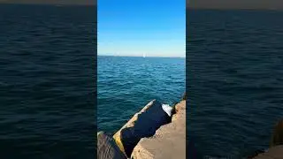Lake Erie 🌊⛴️ #nature #lake